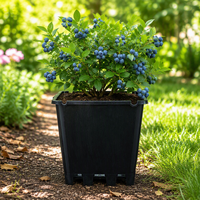 Pots de fleurs carrés en plastique de luxe, vintage et contemporains, pour pépinière, serre et jardin, 25,9 L, avec trou de drainage, vente en gros
