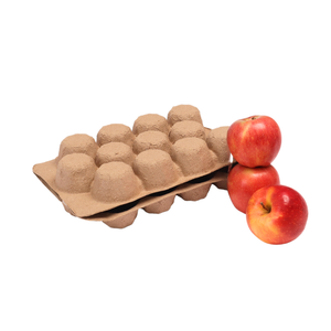 Fruit Tray Packaging Good Quality Brown Paper Customized Service As Your Request <b>Packing</b> in <b>Box</b> Made in Vietnam Factory - Product Image 4