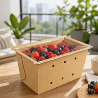 Boîte à baies en papier kraft perforé sur mesure, bac profond ventilé avec couvercle thermoscellable, emballage de produits en carton blanc, vente en gros