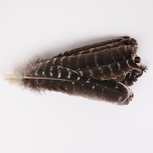 Nhuộm Lông Ngỗng Lông Đơn Nhiều Màu 10-12 Inch Cho Đảng & Lễ Hội Trang Trí Nội Thất - Product Image 6