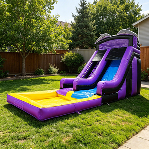 WINSUN Large Outdoor Customized Color Logo Commercial PVC Inflatable Dolphin Water Slide for Educational Public Areas - Product Image 1