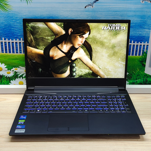 Gaming Laptop 15.6 Inch I7 11800H 32GB DDR4 Ram 2TB SSD With RTX 3060 6GB Discrete Graphics Card Metal Black Laptop Gaming