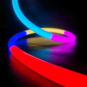 Iluminación LED de Silicona de Neón RGBIC con Control por Aplicación, Flexible para Exteriores, IP65, para Publicidad Comercial, Iluminación Festiva, Certificación CE - Product Image 4