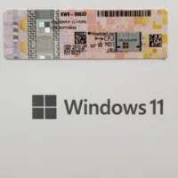 Licencia OEM de por Vida para Win 11 Home 64bit en DVD con Etiqueta COA, Clave de Activación Global 100% Online, Versión Completa de Win11 Home al por Mayor