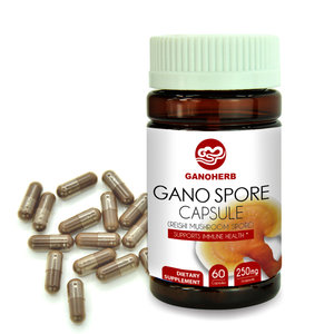 Ganoherb Hữu Cơ di động tường bị hỏng <span class=keywords><strong>Ganoderma</strong></span> lucidum bào tử viên nang nhà sản xuất - Product Image 1