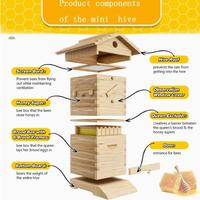 Mini ruches avec 4 cadres à miel à ouverture automatique, 6 cadres en bois pour la reproduction des abeilles, cire d'abeille