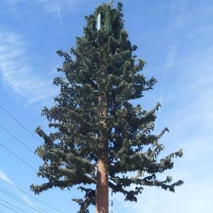 Tour Bionique Camouflée en Cyprès de 30m pour la Déploiement 5G dans les Zones Scéniques – Technologie Professionnelle - Product Image 1