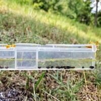 Reine Cage En Plastique Ruche Coléoptère Pièges 10pcs 13*5*1cm Apiculture Outil Beetle Blaster pour Bétail Apiculture Équipement