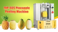 FXP-66s Papaja Ananas Schilmachine Kokosbrood Fruitschiller