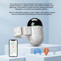 Anillo GPS Antiescape Raptor con Sistema Dual y Monitoreo Remoto por Aplicación