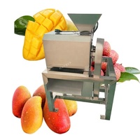 Mango-pulpmachine, mango-ontpitmachine, mango-sapcentrifuge