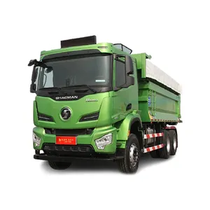 새로운 판잣집 f3000 H6000 덤프 트럭 8x4 Euro2 Euro3 Tipper 덤프 탄자니아에서 판매