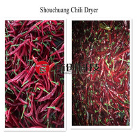 Shouchuang ODM/OEM Gasgestookte Automatische Chili Peper Groente Kruiden Droogmachine voor Voedselverwerking