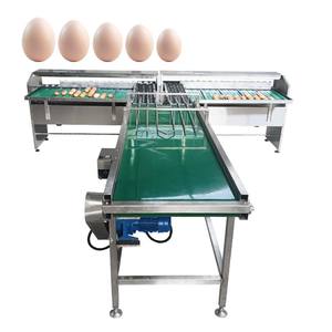 High Quality 10000 Eggs Per Hour Automatic Egg Grader / Egg Sorting / Egg Grading Machine - Product Image 1