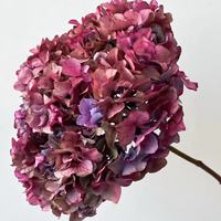 Groothandel Ins Populaire Geconserveerde Grote Blad Hortensia Bloemen Gedroogde Hortensia Voor Bruiloft Decoratie Hortensia Bloemen