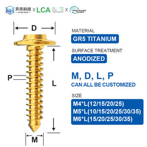 M5 오토바이 나사 Gr5 티타늄 육각 소켓 헤드 셀프 태핑 볼트 - Product Image 4