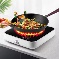 Hochwertiger Einzel-Induktionskocher, elektrisch, tragbar, für Haushalt, Outdoor, Hotel, wasserdicht, schnelles Kochen