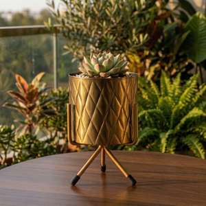 Macetero Metálico Moderno con Soporte Dorado, Decorativo, para Interiores, para Plantas Pequeñas, para Sala de Estar, Oficina, Dormitorio - Product Image 1