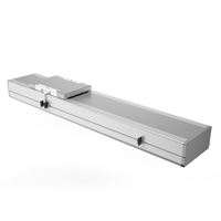 Module linéaire à vis à billes NICE BBF17 pour machine-outil CNC haute vitesse et haute précision, avec rail de guidage et roulement