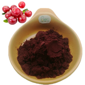 Suplemento dietético natural D Cápsulas de extracto de manosa y arándano 500mg También suministran gomitas de D-manosa - Product Image 2