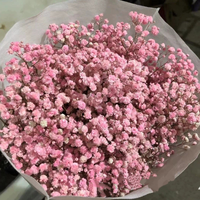 Getrocknete Schleierkraut-Blumen Natürlicher Konservierter Pflanzenstrauß für Hochzeit Party Fröhliche DIY Boho Heimdekoration