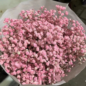 Bouquet di Fiori Secchi di Gypsophila, Piante Naturali Conservate per Matrimoni, Feste, Decorazioni Fai-da-Te in Stile Boho per la Casa - Product Image 4