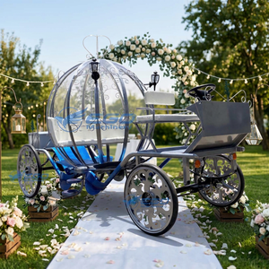Chariot de balade électrique sans chevaux, style citrouille Cendrillon, chariot de mariage, chariot à bonbons, à vendre - Product Image 2