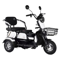 Tricycle électrique neuf d'usine à 3 roues, moteur 600W, pour familles, batterie 48V/60V/20AH, tricycle électrique élégant pour passagers