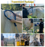 Appareil de thérapie PEMF OEM pour animaux, réparation musculaire du corps entier, appareil à impulsions magnétiques PEMF pour ferme équine
