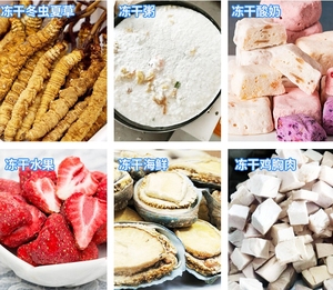 3kg 4kg 6kg10kgフルーツLiofilizadorマシン小型ミニラボ真空家庭用食品凍結乾燥乾燥機装置 - Product Image 6