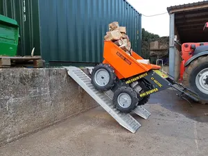 Fabrikant Directe Verkoop 250kgs Betonnen Elektrische Buggy Kruiwagen Mini Motocarriola Dumper