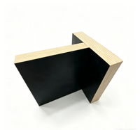 Tablero de Abedul de 18 mm -WACO, Diseño Moderno E1, Resistente al Agua, con Pegamento WBP/MR/Fenólico, Modelo 3D para Construcción en Exteriores