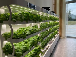 <span class=keywords><strong>Cultivo</strong></span> de agua hidropónico para vegetales, <span class=keywords><strong>armario</strong></span> multicapa inteligente para plantación de vegetales - Product Image 5