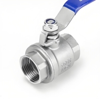 Vanne à opercule en laiton DN25 SS304 PN16 à filetage femelle, commande manuelle à vis, OEM pour conduites d'eau et de drainage