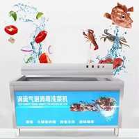Automatische gemotoriseerde roestvrijstalen luchtbel fruit- en groentewasmachine met ozon desinfectie