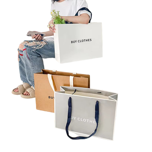 Bolsas de Compras de Papel Beige de Lujo con Logotipo de Marca Personalizado, Bolsas de Regalo con su Propio Logotipo - Product Image 1