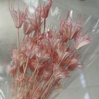 Bunga Nigella Kering Love in a Mist, Diawetkan Alami Asli Abadi Selamanya, Pod Biji untuk Rangkaian Bunga DIY Dekorasi Pernikahan