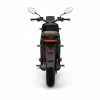 STARGO Green Edge Modular Electric Motorcycle Dual Round Headlights Smart Urban Sportbikes Scooter 72V Long Range Adults 105km/h