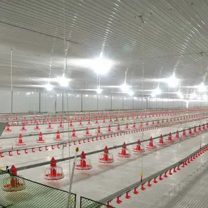 Poultry farming equipment turnkey chicken farms design and construction