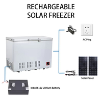 Congélateur solaire français, réfrigérateur alimenté à l'énergie solaire, congélateur à congélation rapide pour la maison, système d'économie d'énergie