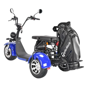 Scooter Eléctrico de Tres Ruedas para Golf, con GPS, Plegable, Impermeable, de Largo Alcance, con Batería de Litio, Modelo Layor HT6, para el <span class=keywords><strong>Mercado</strong></span> Australiano - Product Image 5