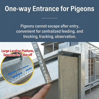 Direct usine, Colis de pigeonnage professionnel extra large, Cages pour pigeons voyageurs, Colis de pigeonnage spacieux, Cage pour pigeons de course