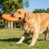 Disque volant en EVA écologique de haute qualité, indestructible, pour jeu quotidien de lancer et de ramassage pour chiens, disponible en version moderne et classique