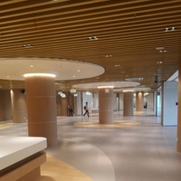 Plafond de décoration boisé en tube carré en bois composite écologique