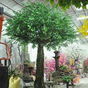 Nhà Máy Tùy Chỉnh Giá Rẻ Hot Bán Lớn Bóng Râm Lớn Ngoài Trời Cây Nhân Tạo Cuộc Sống Kích Thước Nhân Tạo Cây Sồi Ficus Cây Cho Trang Trí - Product Image 4