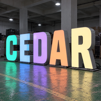 Enseignes lumineuses LED RGB personnalisées en acier inoxydable pour entreprises – Grandes lettres sculptées pour extérieur