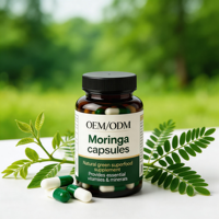 Kapsul Moringa Vegan 500mg Suplemen Multivitamin Nutrisi Grosir Ekstrak Daun Moringa OEM Pemasok Label Pribadi