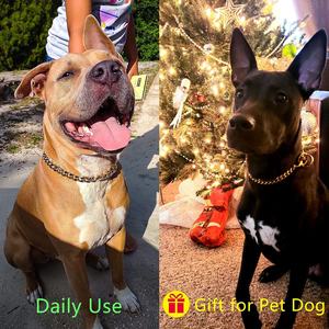 <span class=keywords><strong>Collar</strong></span> de perro de <span class=keywords><strong>10mm</strong></span> de ancho de nueva moda, cadena P, <span class=keywords><strong>collar</strong></span> deslizante de <span class=keywords><strong>Metal</strong></span> de acero inoxidable para caminar, cadena de perro a prueba de masticación de oro rosa - Product Image 6