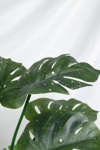 Écorce de plante artificielle de monstera à feuilles persistantes simulées avec des <span class=keywords><strong>perles</strong></span> <span class=keywords><strong>d</strong></span>'<span class=keywords><strong>eau</strong></span> adaptées à la <span class=keywords><strong>d</strong></span>écoration de la maison et du jardin - Product Image 5