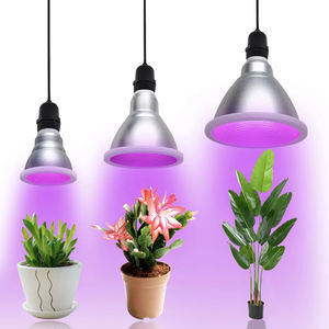 Liweida Best Full Spectrum LED Cob Chip Grow Lights Kleines Indoor-Gartens amen Start für Zimmer pflanzen Bloom E27 B22 E26 Gu10 - Product Image 4